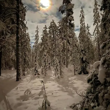 Tomera's House - Next To Santa Claus Rovaniemi