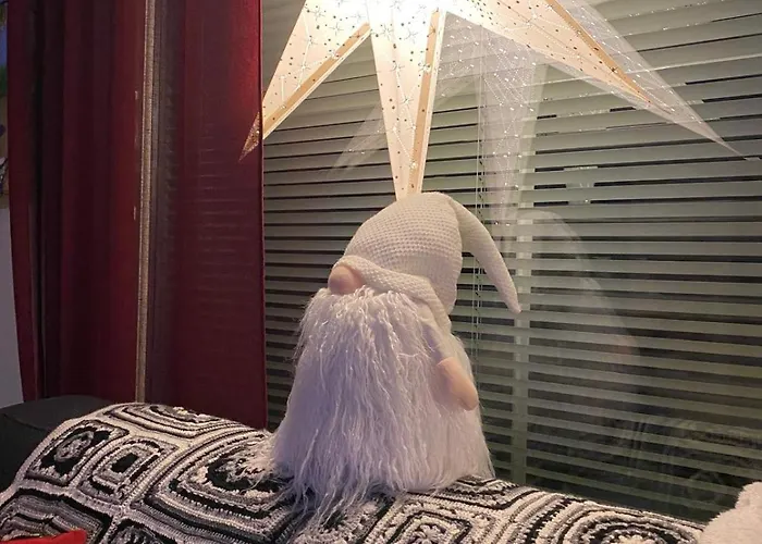 Tomera's House - Next To Santa Claus * 罗瓦涅米