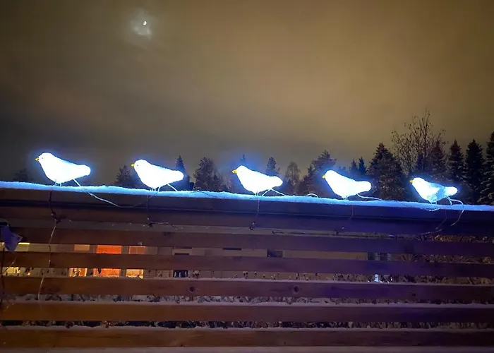 公寓 Tomera's House - Next To Santa Claus