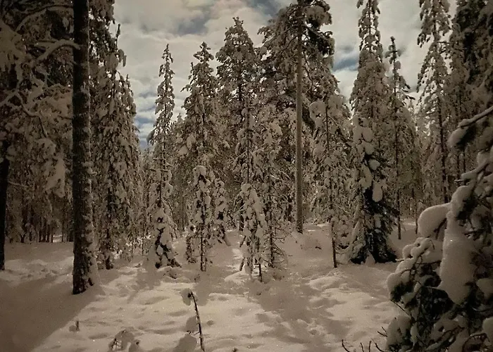 Tomera's House - Next To Santa Claus Rovaniemi